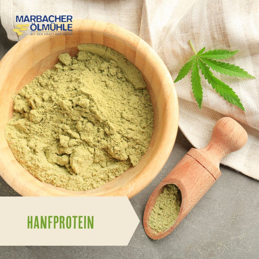 Hanfprotein