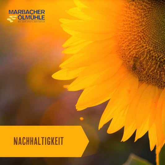 Nachhaltigkeit