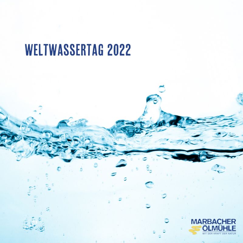 Weltwassertag