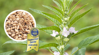 AKTUELL: BIOLOGISCHES SESAMÖL, UNGERÖSTET - EIN MIT DEM TASTE AWARD AUSGEZEICHNETER DAUERBRENNER