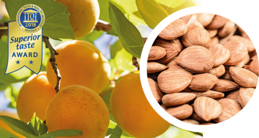 Aprikosenkernöl – ein Gaumenschmaus mit Gesundheitsbonus