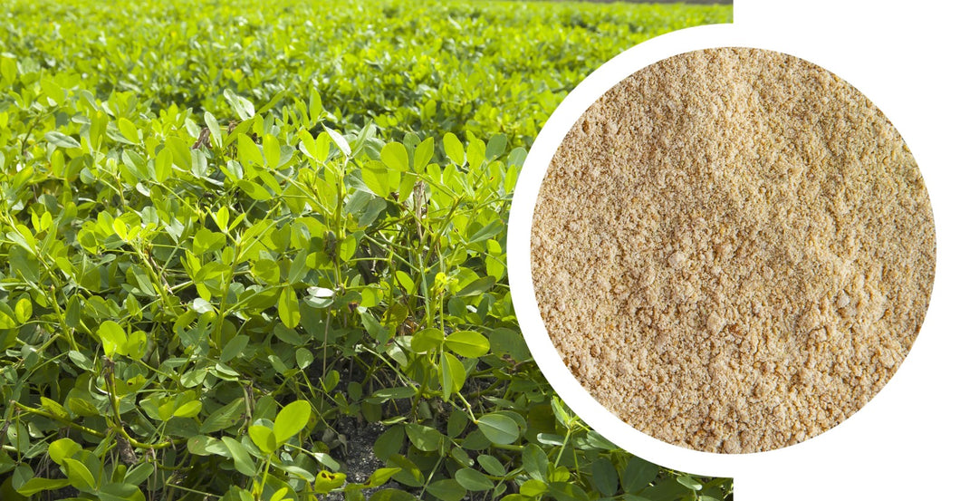 Sample peanut flour, de-oiled, conventional
