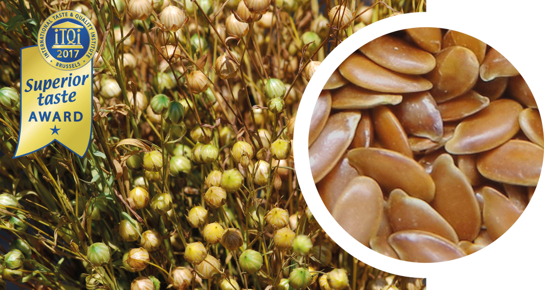 Sample linseed oil from yellow seeds, cold-pressed, organic