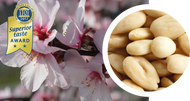 Sample almond oil, cold-pressed, organic