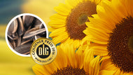 Muster Sonnenblumenöl LL, raffiniert, konventionell
