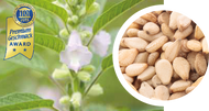 Muster Sesamöl, nativ, biologisch