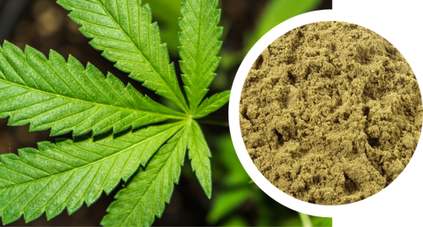 Sample hemp seed flour, de-oiled, organic