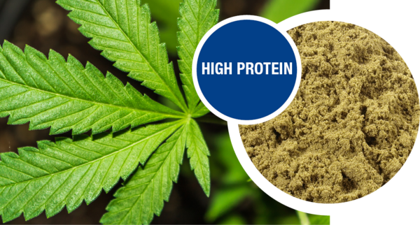 Sample hemp seed protein, organic