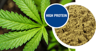 Muster Hanfprotein, biologisch