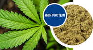 Sample hemp seed protein, organic