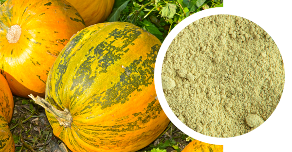 Sample pumpkin seed flour, de-oiled, conventional