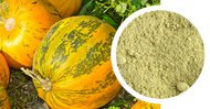 Sample pumpkin seed flour, de-oiled, conventional